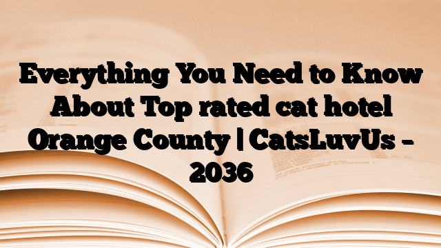 Everything You Need to Know About Top rated cat hotel Orange County | CatsLuvUs