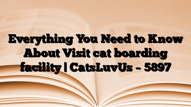 Everything You Need to Know About Visit cat boarding facility | CatsLuvUs