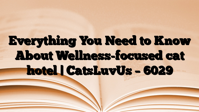 Everything You Need to Know About Wellness-focused cat hotel | CatsLuvUs