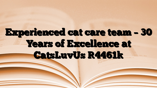 Experienced cat care team – 30 Years of Excellence at CatsLuvUs