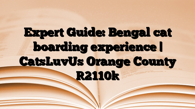 Expert Guide: Bengal cat boarding experience | CatsLuvUs Orange County