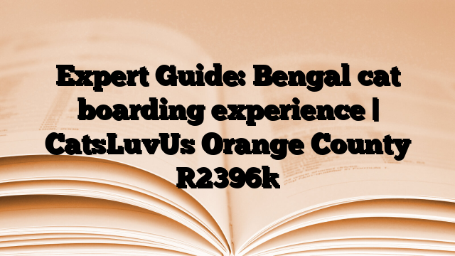 Expert Guide: Bengal cat boarding experience | CatsLuvUs Orange County