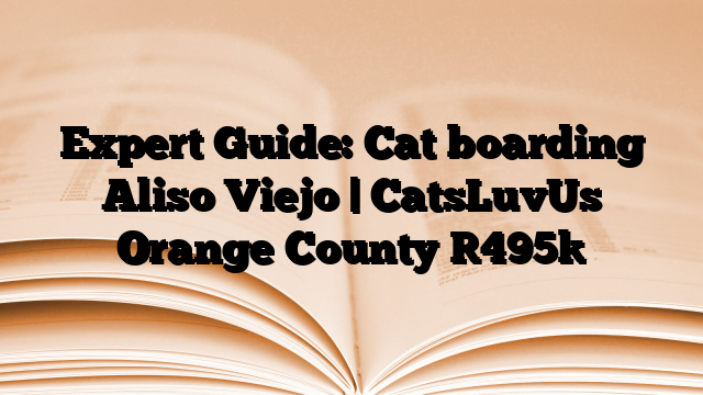 Expert Guide: Cat boarding Aliso Viejo | CatsLuvUs Orange County