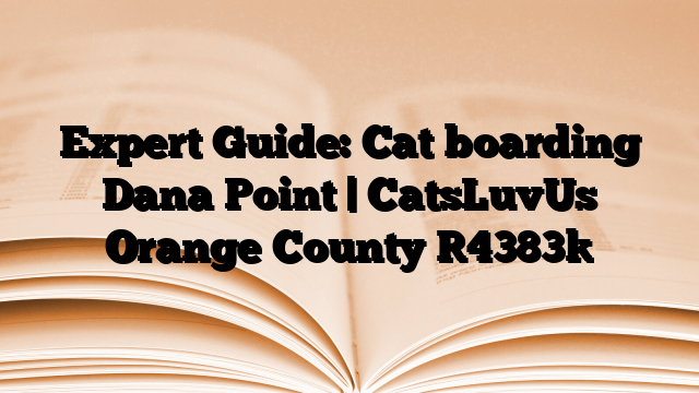 Expert Guide: Cat boarding Dana Point | CatsLuvUs Orange County