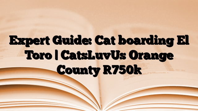 Expert Guide: Cat boarding El Toro | CatsLuvUs Orange County