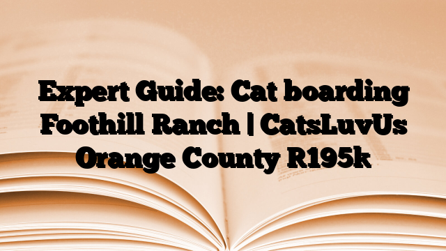 Expert Guide: Cat boarding Foothill Ranch | CatsLuvUs Orange County