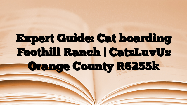 Expert Guide: Cat boarding Foothill Ranch | CatsLuvUs Orange County