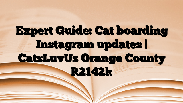 Expert Guide: Cat boarding Instagram updates | CatsLuvUs Orange County
