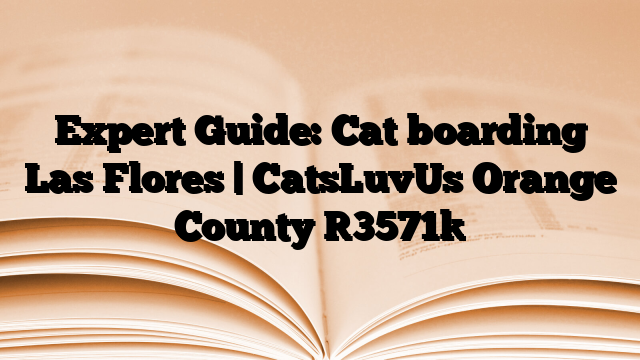 Expert Guide: Cat boarding Las Flores | CatsLuvUs Orange County