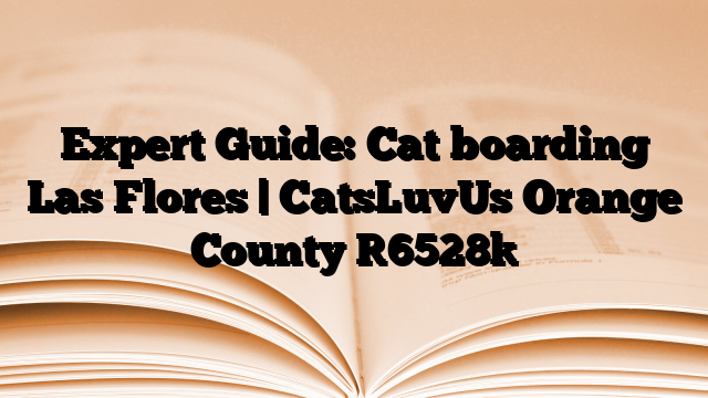 Expert Guide: Cat boarding Las Flores | CatsLuvUs Orange County