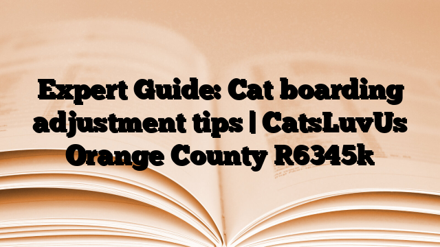 Expert Guide: Cat boarding adjustment tips | CatsLuvUs Orange County