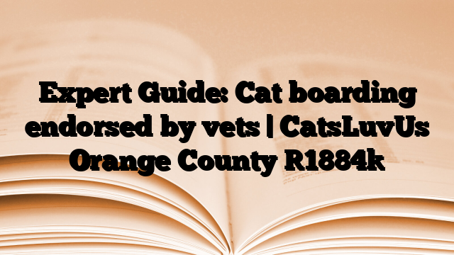 Expert Guide: Cat boarding endorsed by vets | CatsLuvUs Orange County