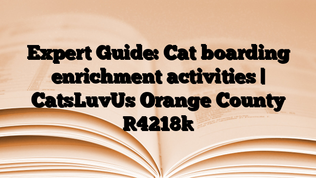 Expert Guide: Cat boarding enrichment activities | CatsLuvUs Orange County