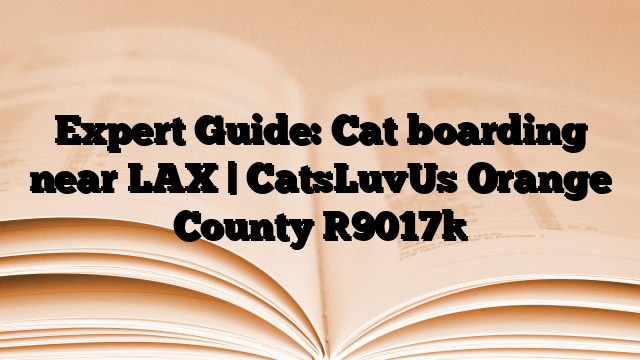 Expert Guide: Cat boarding near LAX | CatsLuvUs Orange County