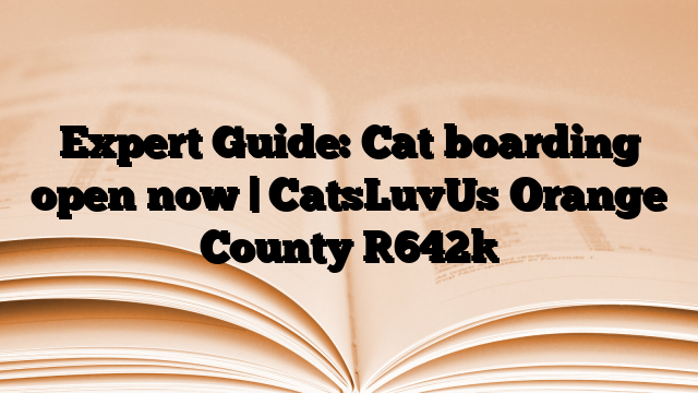 Expert Guide: Cat boarding open now | CatsLuvUs Orange County