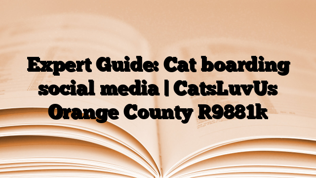 Expert Guide: Cat boarding social media | CatsLuvUs Orange County