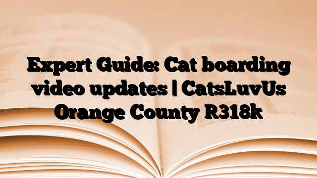 Expert Guide: Cat boarding video updates | CatsLuvUs Orange County