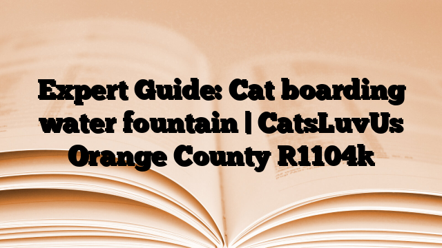 Expert Guide: Cat boarding water fountain | CatsLuvUs Orange County