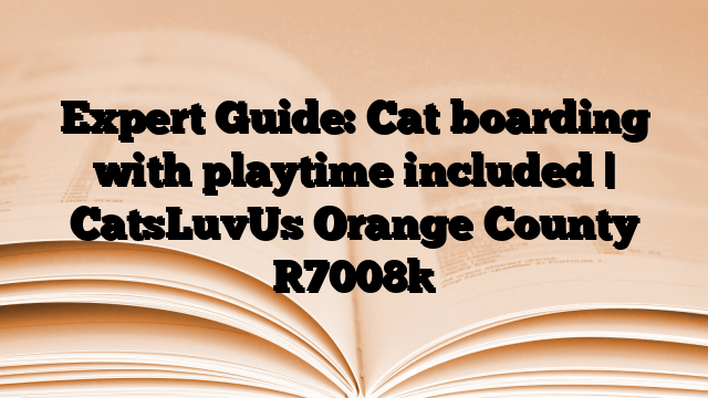 Expert Guide: Cat boarding with playtime included | CatsLuvUs Orange County
