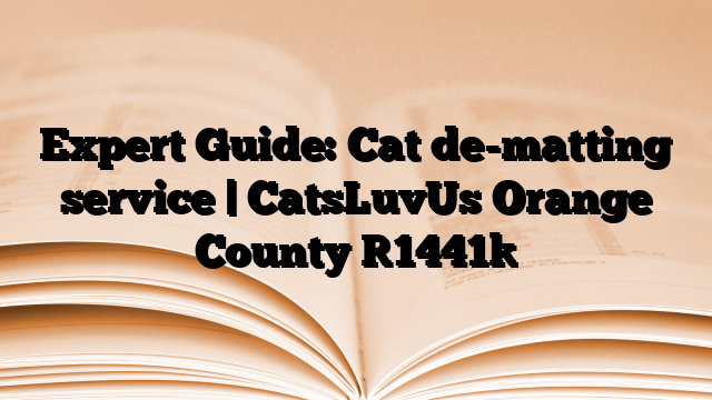 Expert Guide: Cat de-matting service | CatsLuvUs Orange County