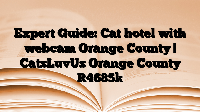 Expert Guide: Cat hotel with webcam Orange County | CatsLuvUs Orange County