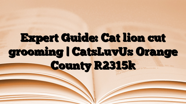 Expert Guide: Cat lion cut grooming | CatsLuvUs Orange County