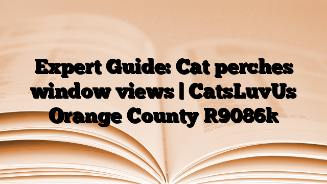 Expert Guide: Cat perches window views | CatsLuvUs Orange County