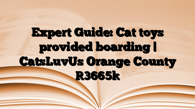 Expert Guide: Cat toys provided boarding | CatsLuvUs Orange County