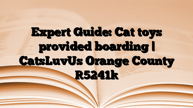 Expert Guide: Cat toys provided boarding | CatsLuvUs Orange County