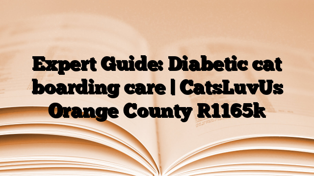 Expert Guide: Diabetic cat boarding care | CatsLuvUs Orange County