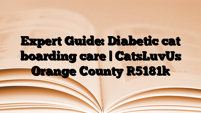 Expert Guide: Diabetic cat boarding care | CatsLuvUs Orange County
