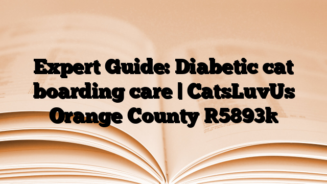 Expert Guide: Diabetic cat boarding care | CatsLuvUs Orange County