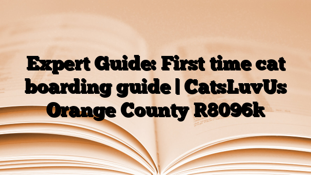 Expert Guide: First time cat boarding guide | CatsLuvUs Orange County