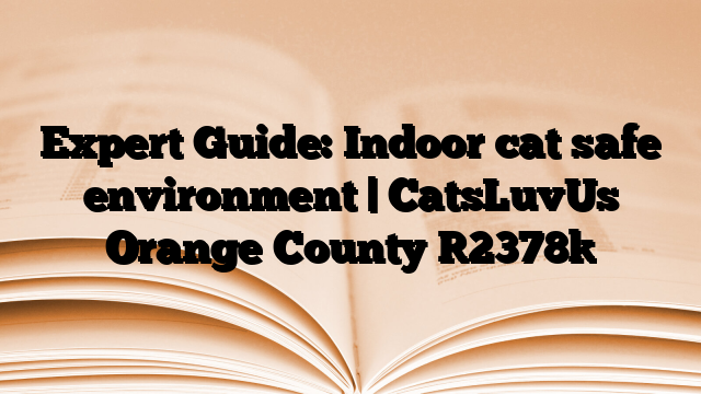 Expert Guide: Indoor cat safe environment | CatsLuvUs Orange County
