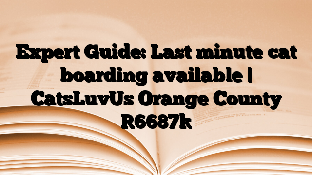 Expert Guide: Last minute cat boarding available | CatsLuvUs Orange County