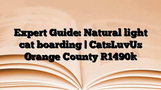 Expert Guide: Natural light cat boarding | CatsLuvUs Orange County