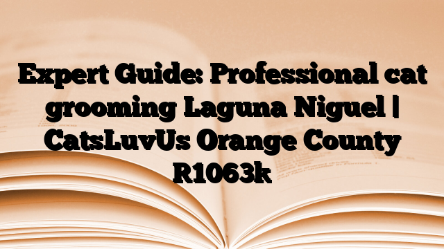 Expert Guide: Professional cat grooming Laguna Niguel | CatsLuvUs Orange County