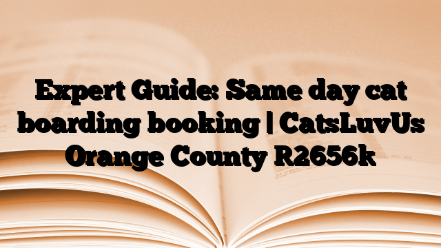 Expert Guide: Same day cat boarding booking | CatsLuvUs Orange County