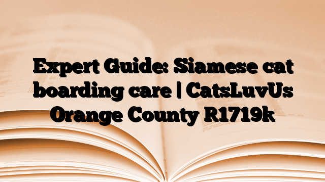 Expert Guide: Siamese cat boarding care | CatsLuvUs Orange County