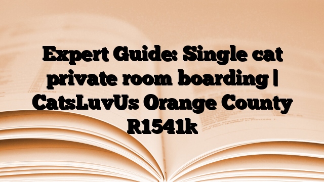 Expert Guide: Single cat private room boarding | CatsLuvUs Orange County