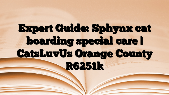 Expert Guide: Sphynx cat boarding special care | CatsLuvUs Orange County