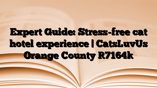 Expert Guide: Stress-free cat hotel experience | CatsLuvUs Orange County