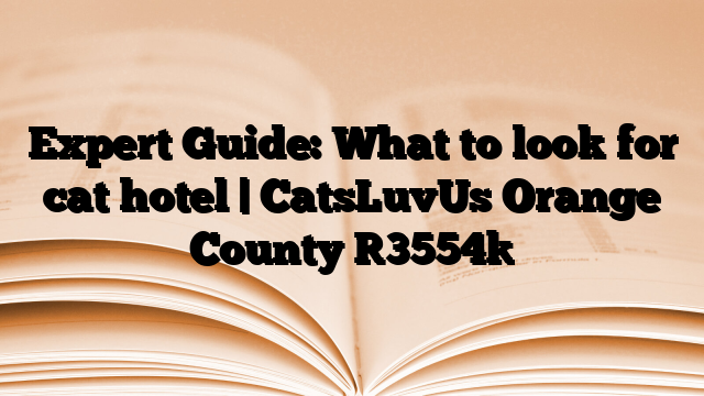 Expert Guide: What to look for cat hotel | CatsLuvUs Orange County