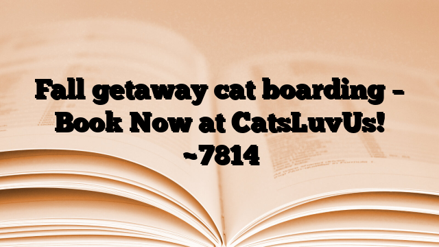 Fall getaway cat boarding – Book Now at CatsLuvUs!