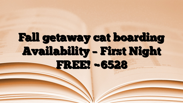 Fall getaway cat boarding Availability – First Night FREE!