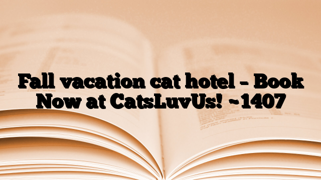 Fall vacation cat hotel – Book Now at CatsLuvUs!