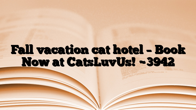 Fall vacation cat hotel – Book Now at CatsLuvUs!