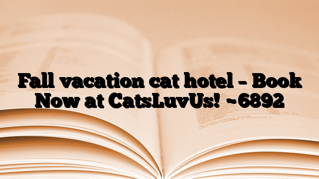 Fall vacation cat hotel – Book Now at CatsLuvUs!