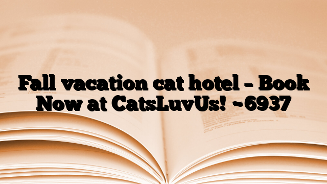 Fall vacation cat hotel – Book Now at CatsLuvUs!