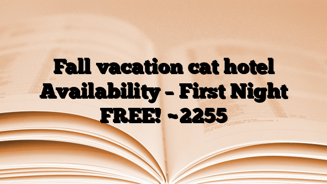 Fall vacation cat hotel Availability – First Night FREE!